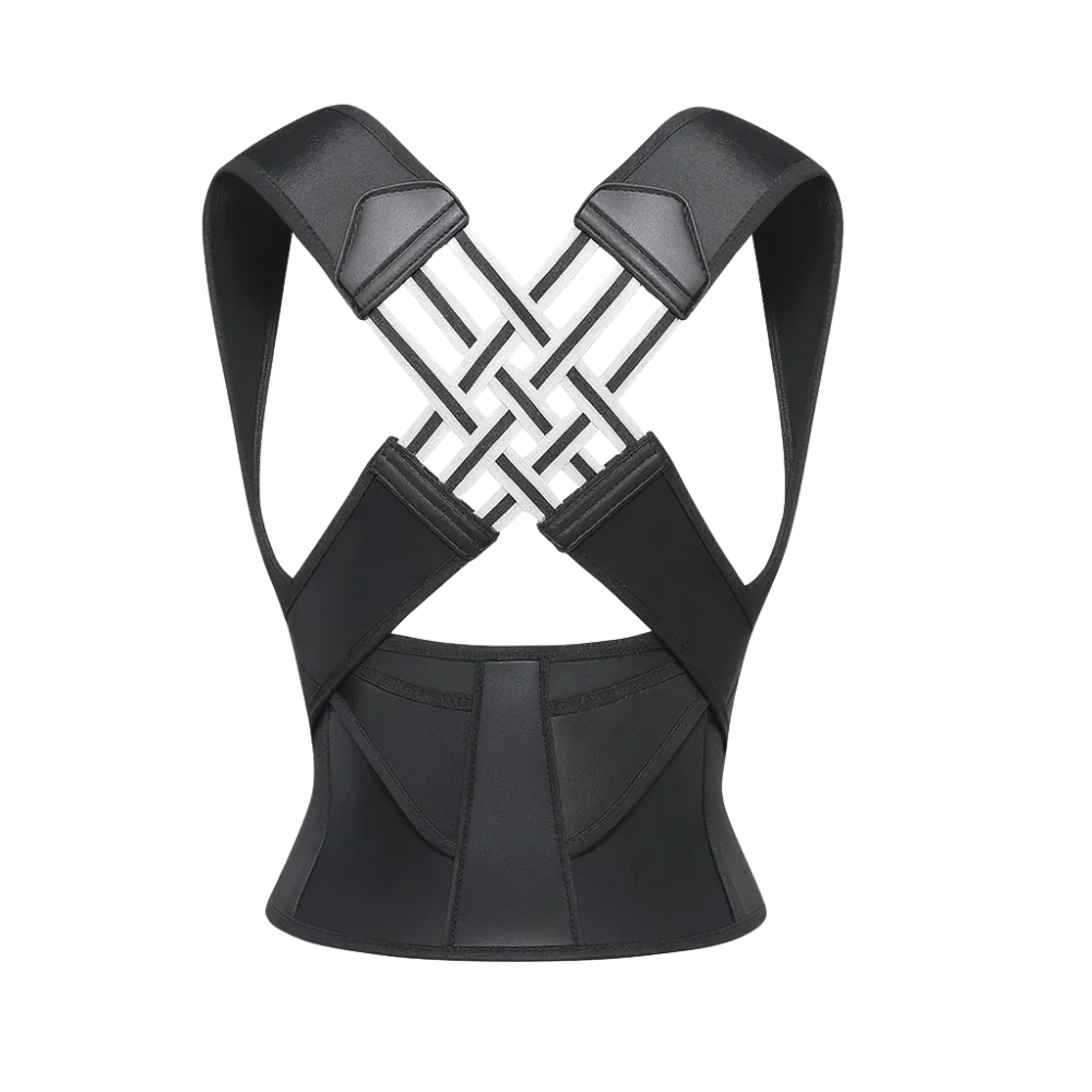 1x Back Support