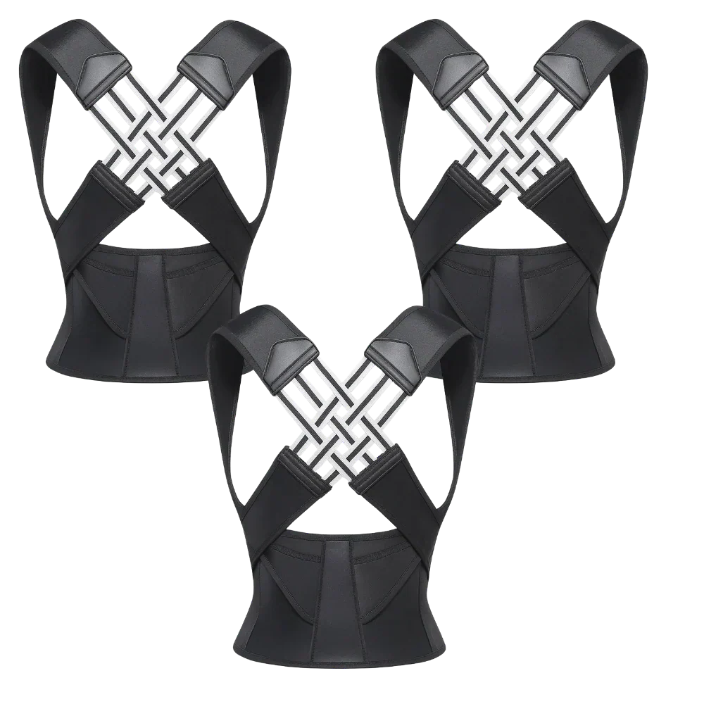 3x Back Support